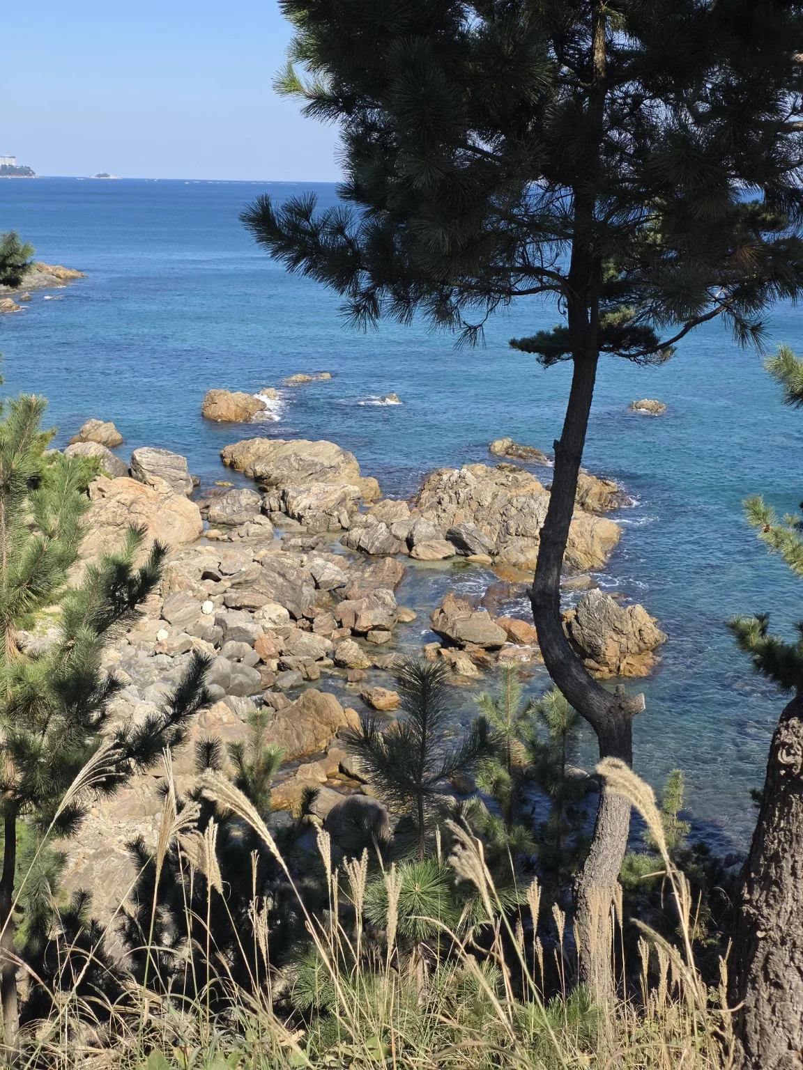 낙산사 주변 풍경